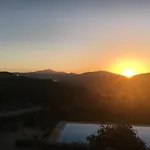 Stellamarina